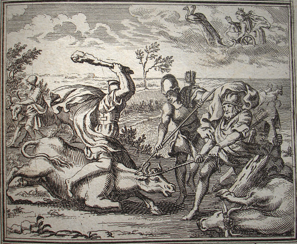  Coae cornua matres gesserunt.